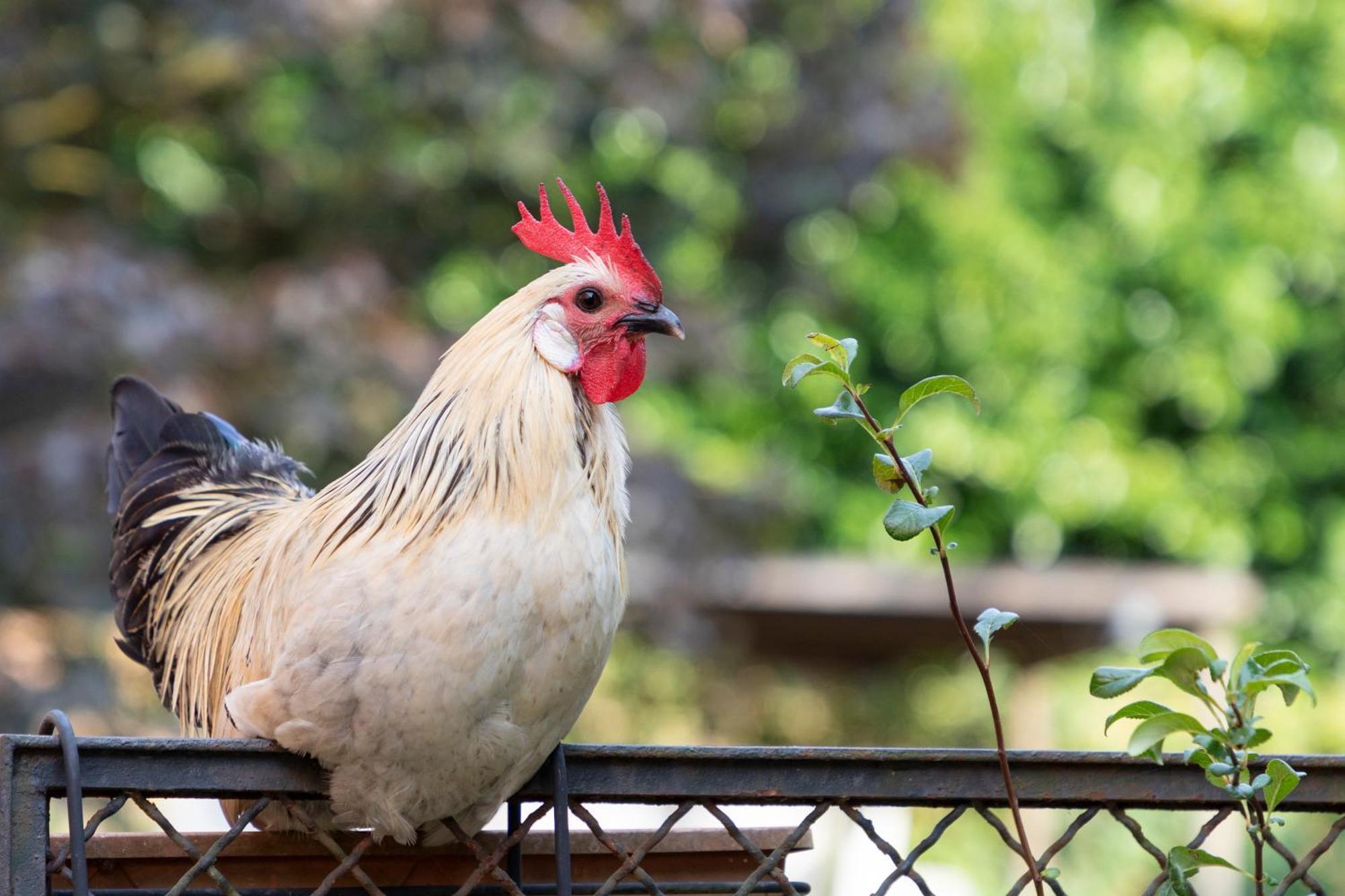 Country Boutique Paradiso Valmadonna Εξωτερικό φωτογραφία